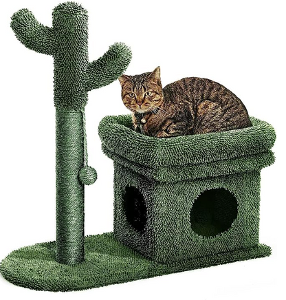 2 IN 1 Cat Cactus Condos