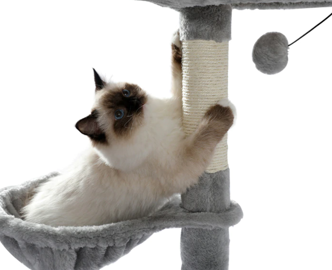 4 layer Cat Tree Condo